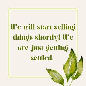 When will we start selling?